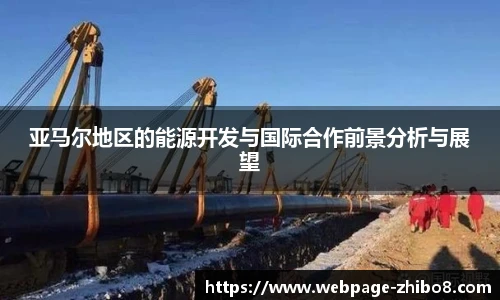 亚马尔地区的能源开发与国际合作前景分析与展望